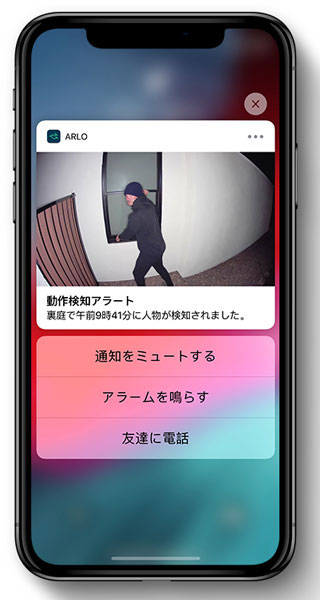 image for this item